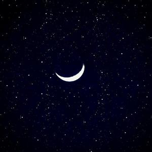 欧美黑丝袜美女女性爱网
